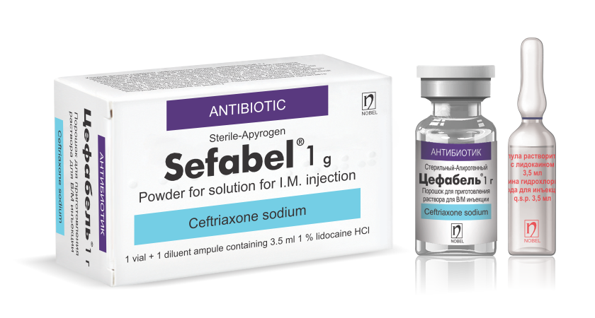 SEFABEL 1G IM